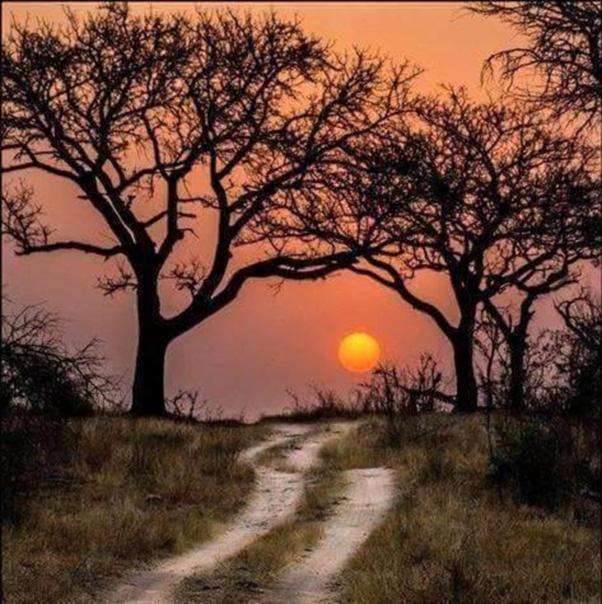 Weltevreden Game Lodge 布隆方丹 外观 照片