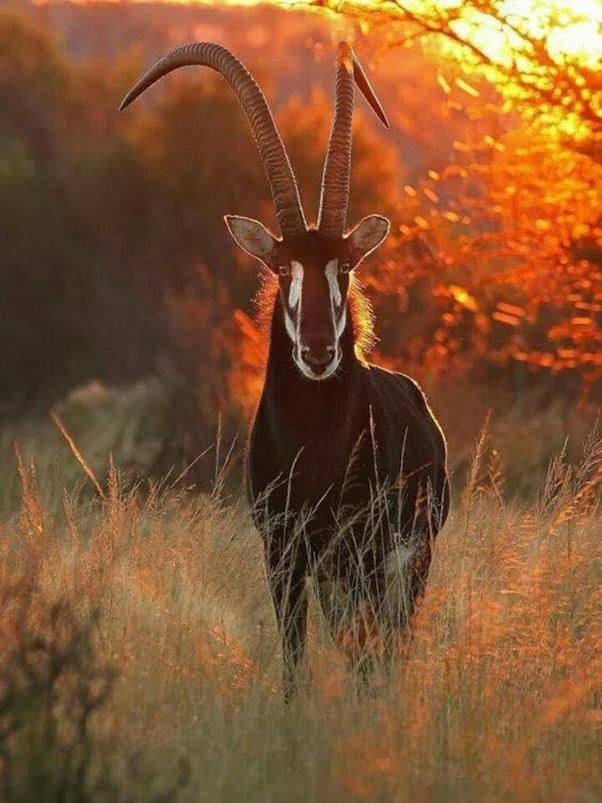Weltevreden Game Lodge 布隆方丹 外观 照片