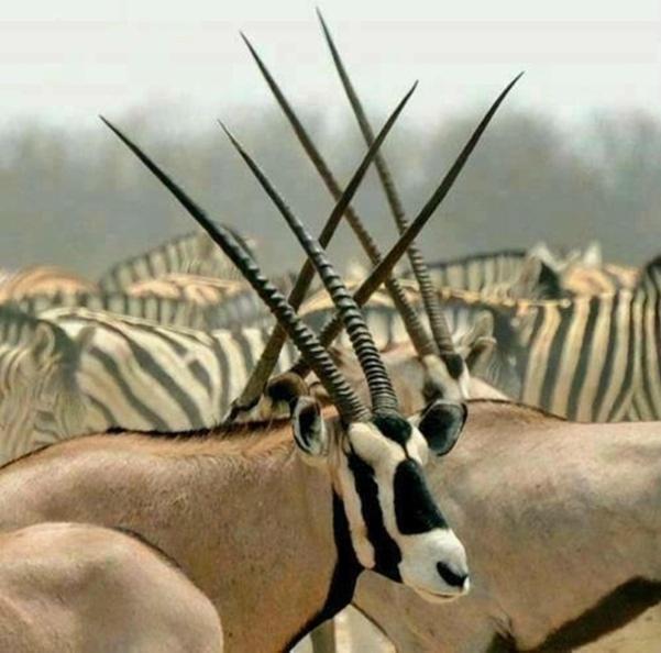 Weltevreden Game Lodge 布隆方丹 外观 照片