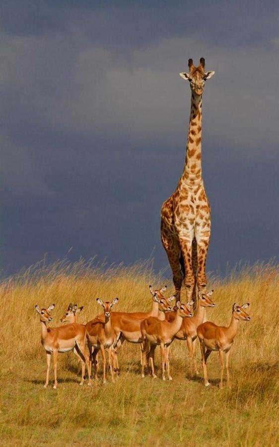 Weltevreden Game Lodge 布隆方丹 外观 照片