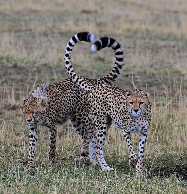 Weltevreden Game Lodge 布隆方丹 外观 照片
